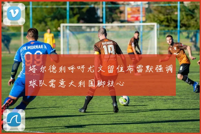 塔尔德利呼吁尤文留住布雷默强调球队需意大利国脚核心