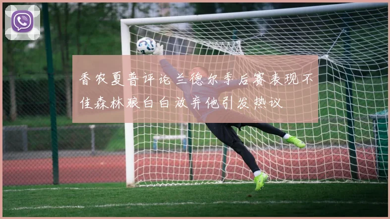 香农夏普评论兰德尔季后赛表现不佳森林狼白白放弃他引发热议